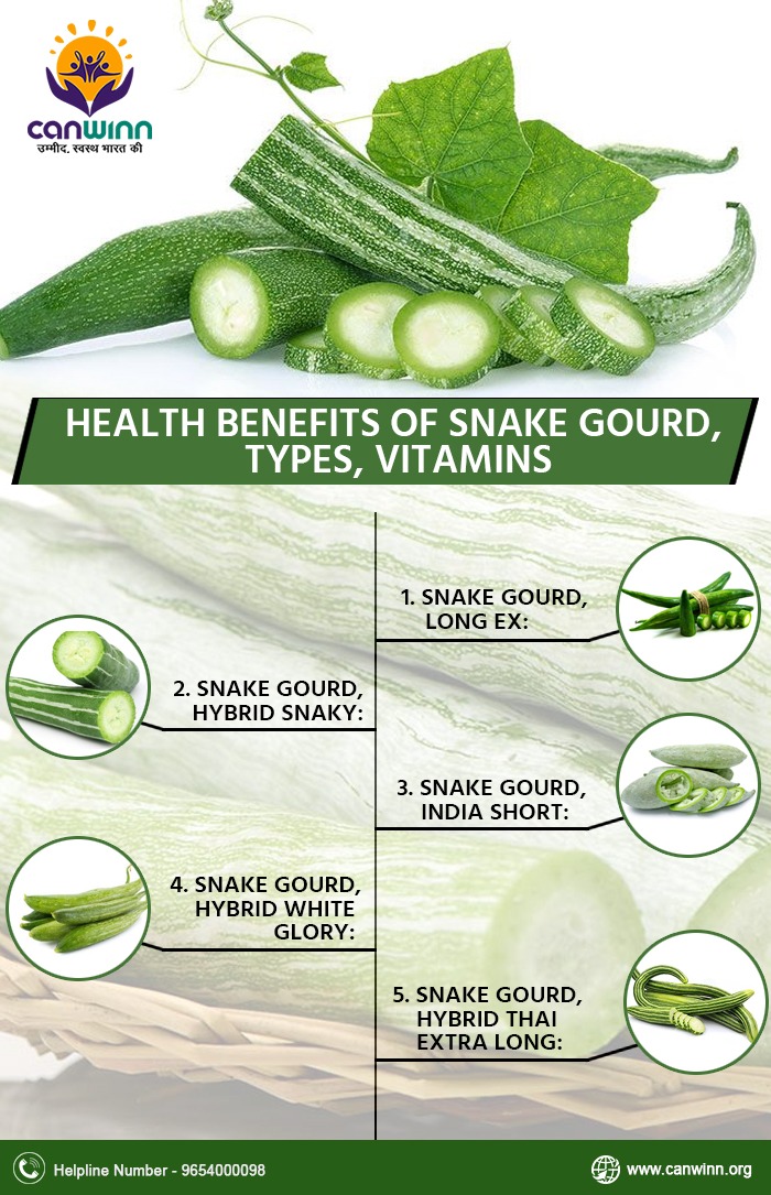 snake gourd benefits