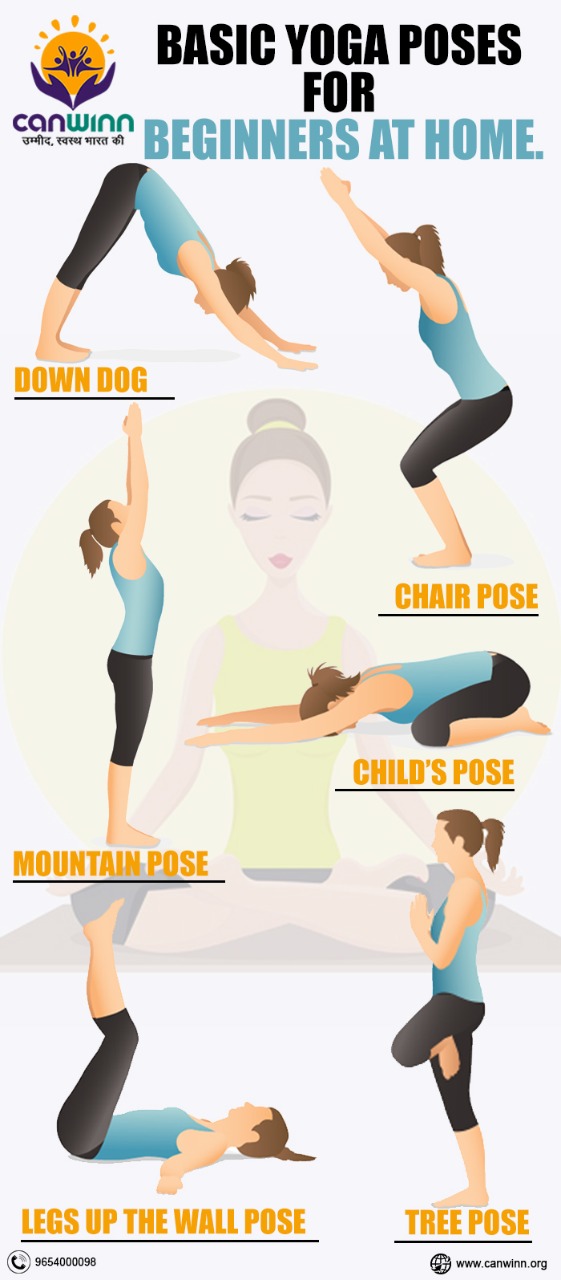 14 basic Yoga 