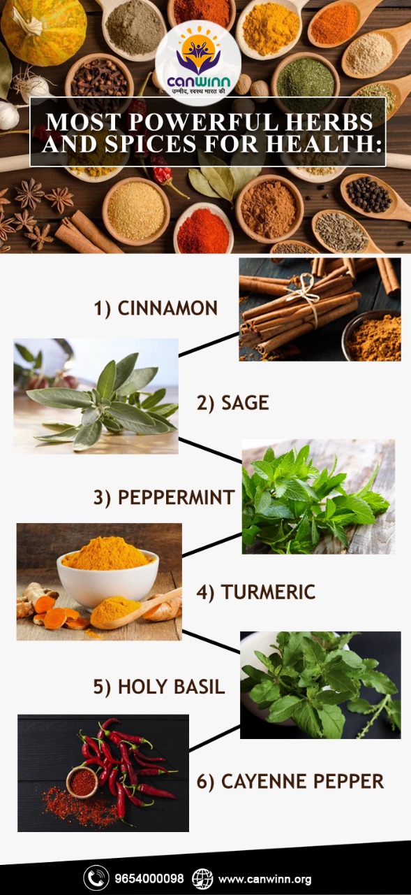 Most powerful herbs and spices for health