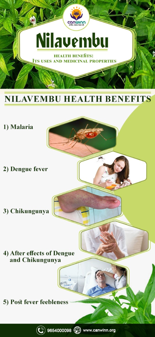 Nilavembu health benefits